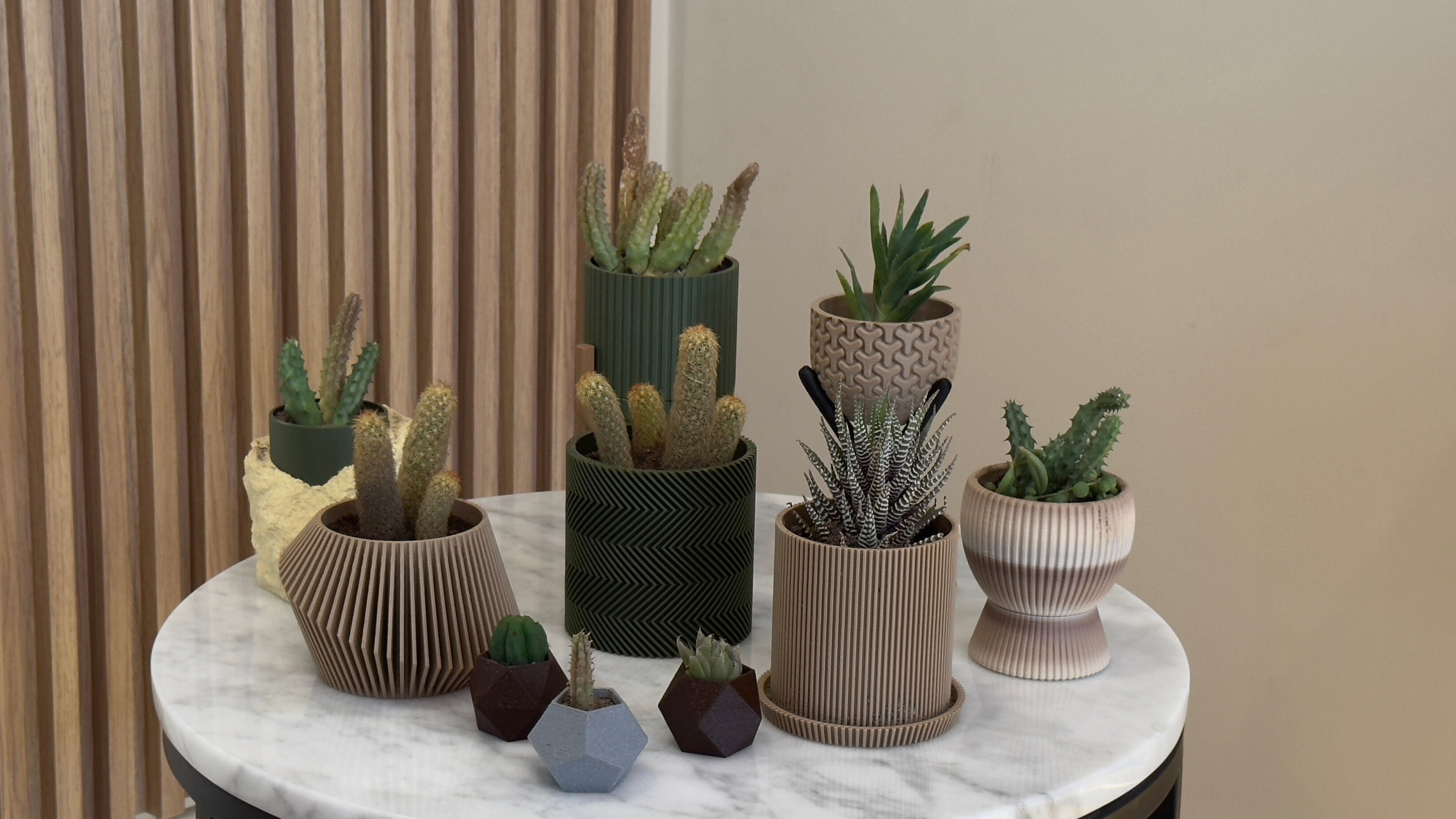 Collection of potted plants on a marble table with a neutral background