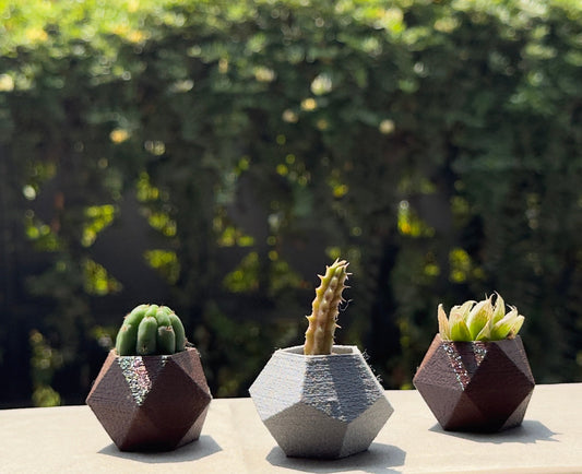 Three small cacti in geometric pots on a ledge with a blurred greenery background