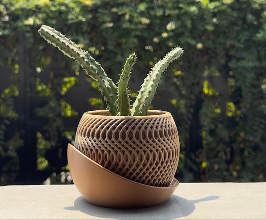 Cactus in a textured pot on a windowsill with a blurred green outdoor background